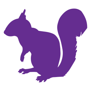 purple-squirrel